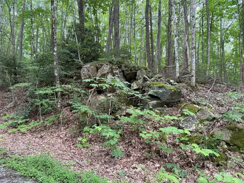 Red Clover Road, Beech Mountain, NC 28604 photo 28