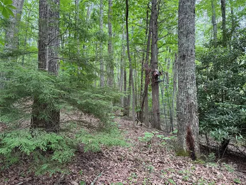 Red Clover Road, Beech Mountain, NC 28604 photo 13
