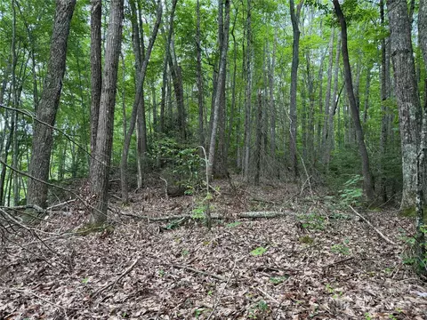 Red Clover Road, Beech Mountain, NC 28604 photo 11