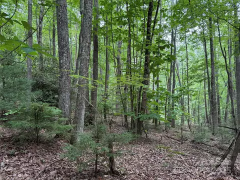 Red Clover Road, Beech Mountain, NC 28604 photo 15