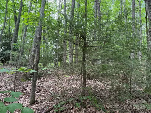 Red Clover Road, Beech Mountain, NC 28604 photo 17