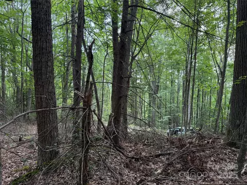 Red Clover Road, Beech Mountain, NC 28604 photo 21