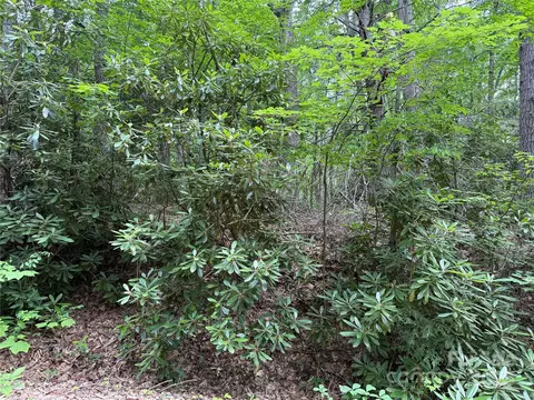 Red Clover Road, Beech Mountain, NC 28604 photo 6