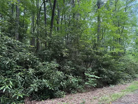 Red Clover Road, Beech Mountain, NC 28604 photo 5