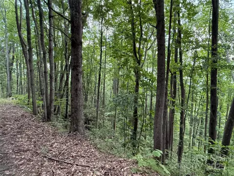 Red Clover Road, Beech Mountain, NC 28604 photo 27