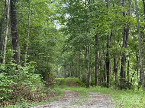 Red Clover Road, Beech Mountain, NC 28604 photo 32