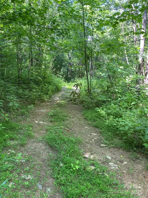 0 Cherry Hl #202, Mill Spring, NC 28756 photo 3