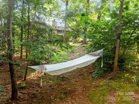 Exterior - 57 Diamond Ridge Ln, Columbus, NC 28722 photo 6 of 11