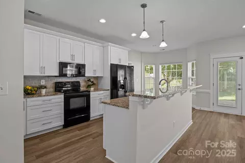 19601 Denae Lynn Dr, Cornelius, NC 28031 photo 2