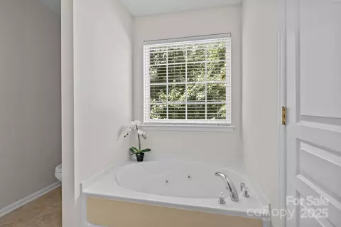 19601 Denae Lynn Dr, Cornelius, NC 28031 photo 18