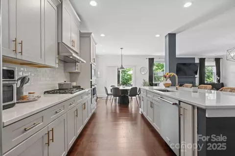 17423 Summers Walk Blvd, Davidson, NC 28036 photo 12