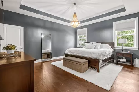 17423 Summers Walk Blvd, Davidson, NC 28036 photo 19