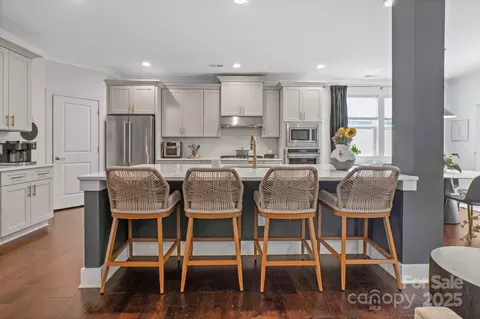 17423 Summers Walk Blvd, Davidson, NC 28036 photo 11