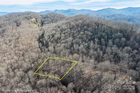 99999 Little Pond E21 Pass #E21, Mars Hill, NC 28754