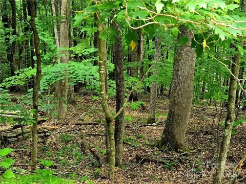 5 Red Fox Trail #5, Boone, NC 28607