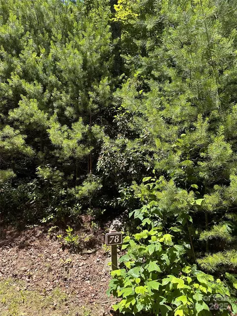 66 Boone Cove Rd, Zirconia, NC 28790