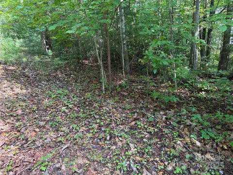 Deer Run 231 Road #231, Purlear, NC 28665 photo 12