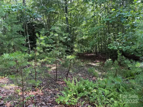 Deer Run 231 Road #231, Purlear, NC 28665 photo 11