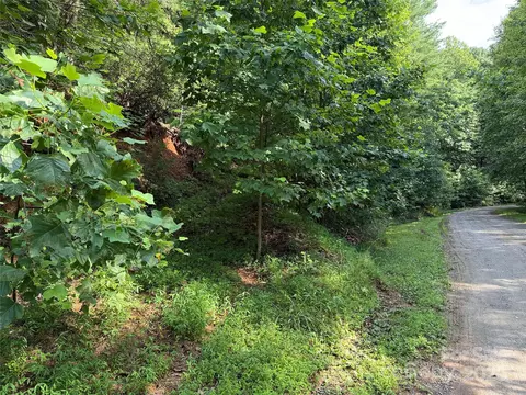 Deer Run 231 Road #231, Purlear, NC 28665 photo 7