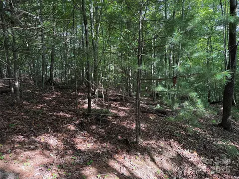 Deer Run 231 Road #231, Purlear, NC 28665 photo 16
