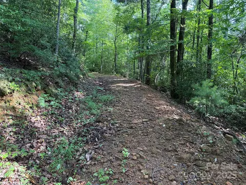 Deer Run 231 Road #231, Purlear, NC 28665 photo 9