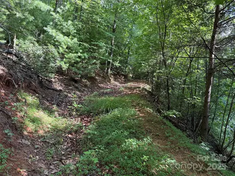Deer Run 231 Road #231, Purlear, NC 28665 photo 8