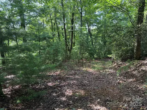 Deer Run 231 Road #231, Purlear, NC 28665 photo 14