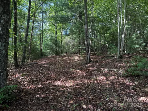 Deer Run 231 Road #231, Purlear, NC 28665 photo 3
