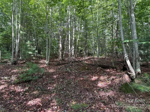 Deer Run 231 Road #231, Purlear, NC 28665 photo 13