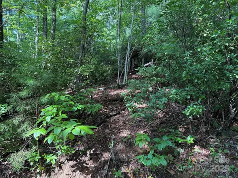 Deer Run 231 Road #231, Purlear, NC 28665 photo 10