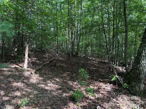 Deer Run 231 Road #231, Purlear, NC 28665 photo 15