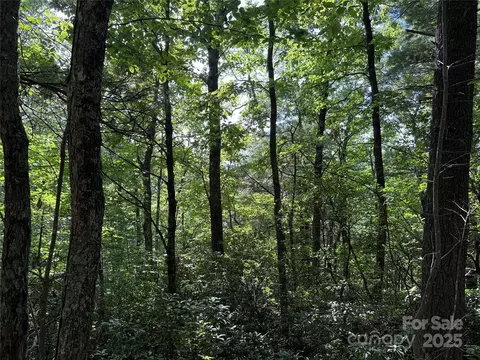 Deer Run 231 Road #231, Purlear, NC 28665 photo 17