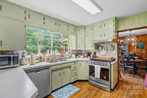 41 Hilton Dr, Brevard, NC 28712 photo 18