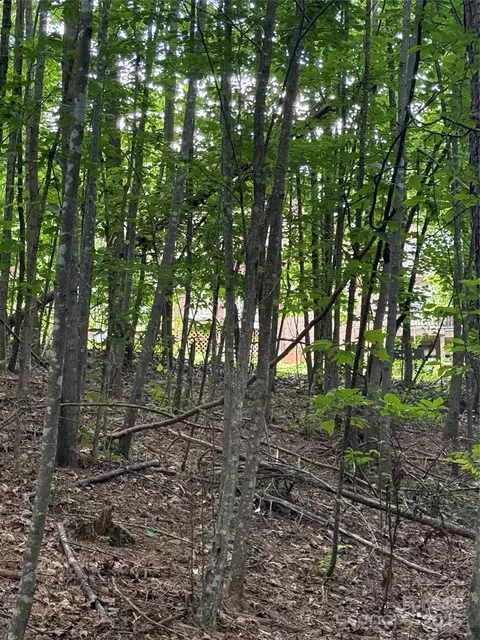 3994 Seitz Rd, Morganton, NC 28655 photo 7
