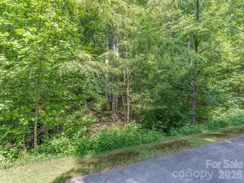 231 Chesterfield Drive #231, Mill Spring, NC 28756