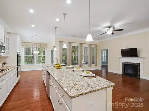 3027 Cricket Ln, Lancaster, SC 29720 photo 17