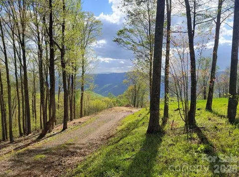 Nicholas Knoll Road, Bakersville, NC 28705
