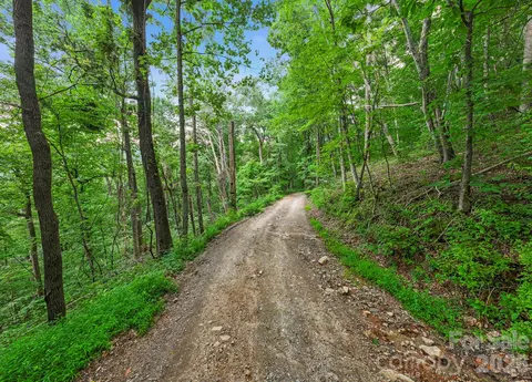 99999 Little Pisgah Rd, Gerton, NC 28735