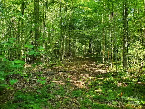 00 Staton Ridge Rd, Saluda, NC 28773