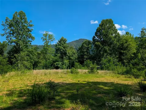 303 Festive Pine Trl, Green Mountain, NC 28740