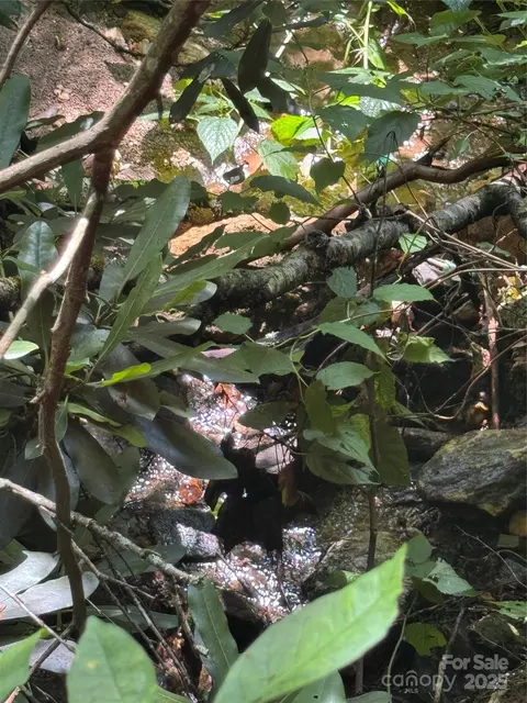 Little Squirrel Creek Road, Newland, NC 28657