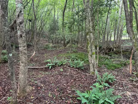 00 Freeman Rd, Bostic, NC 28018 photo 19