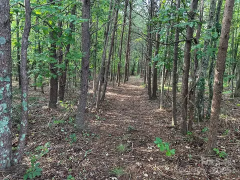00 Freeman Rd, Bostic, NC 28018 photo 39