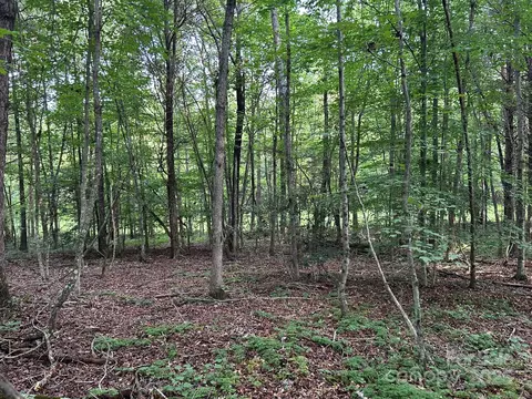 00 Freeman Rd, Bostic, NC 28018 photo 33