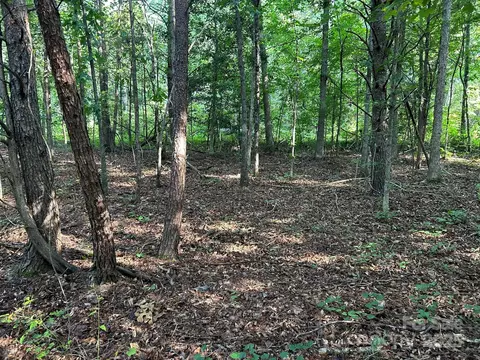 00 Freeman Rd, Bostic, NC 28018 photo 44