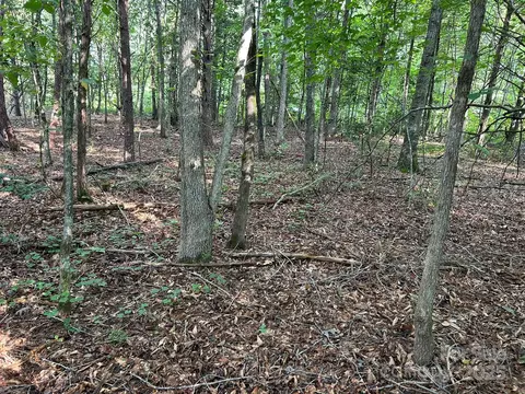 00 Freeman Rd, Bostic, NC 28018 photo 47