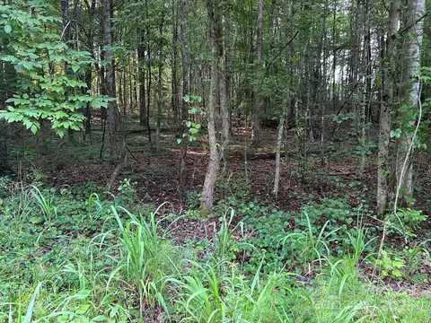 00 Freeman Rd, Bostic, NC 28018 photo 28