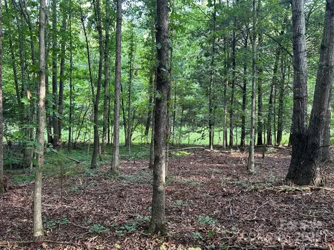 00 Freeman Rd, Bostic, NC 28018 photo 32