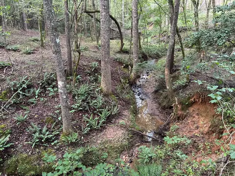 00 Freeman Rd, Bostic, NC 28018 photo 5