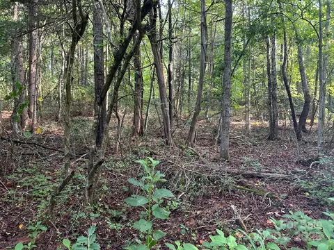 00 Freeman Rd, Bostic, NC 28018 photo 29